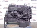 Engine  D 0836 LFL 40 Man TGM 18.240 - 3