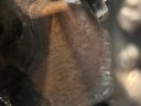 Moteur DC 13 147 Scania R R450 - 4