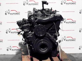 Moteur D 0826 LOH17 Man - 4