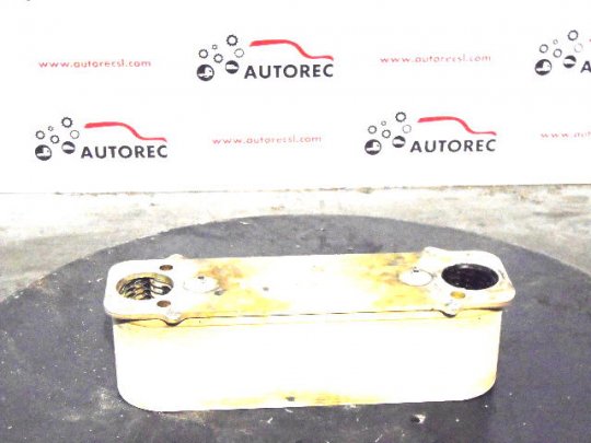 Radiador aire sobrealiment. 51095007168 Man TGX 18.480  - 1